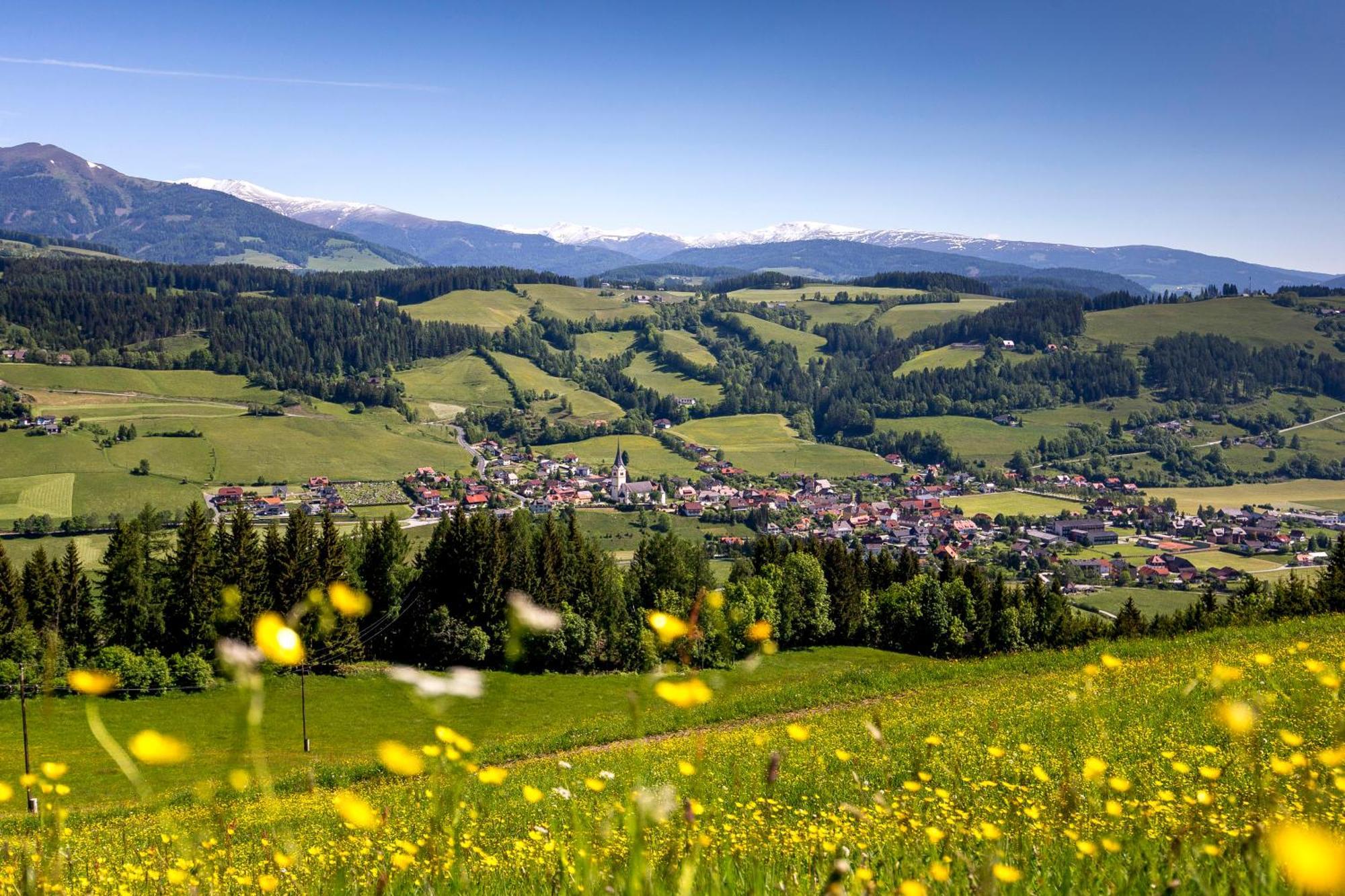 Naturpark Lambrecht By Alps Chalet